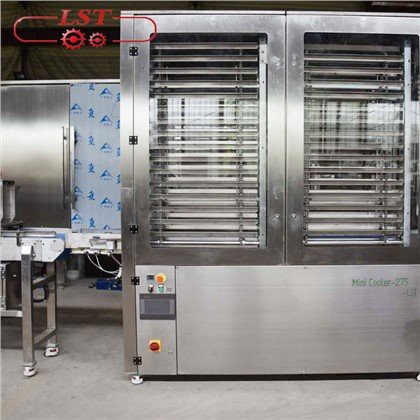 Çikolatalı soğuk içeceğe hindistan cevizi parçaları ekleyebilir miyim?